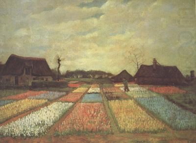 Vincent Van Gogh Bulb Fields (nn04) china oil painting image